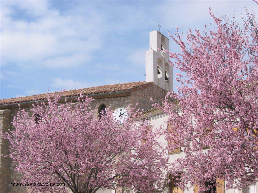 Church with cherry blossoms
